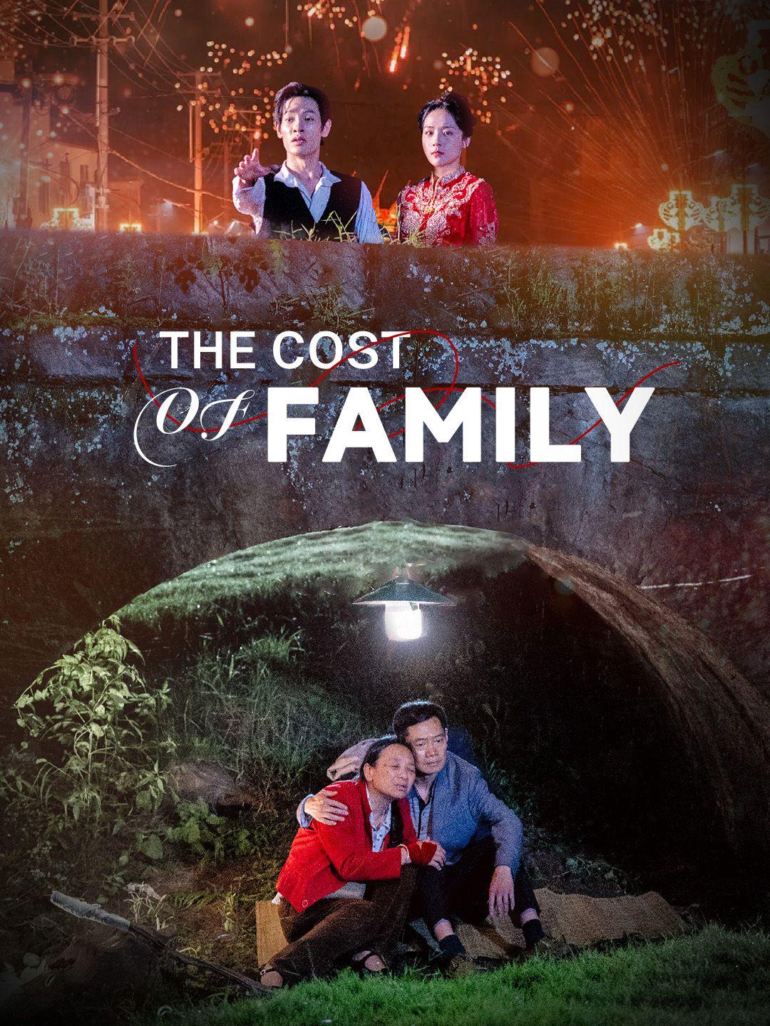 The Cost of Family
